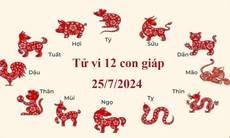 Tử vi 12 con giáp hôm nay 25/7/2024: Thân ảm đạm, Tý nhiều niềm vui