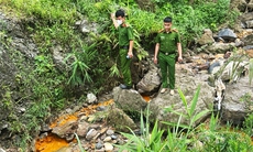 Cá chết bất thường ở thủ phủ khoáng sản Nghệ An: Nhiều mẫu nước thải vượt quy chuẩn