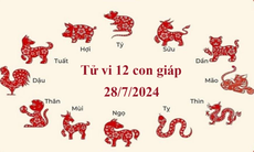 Tử vi 12 con giáp hôm nay 28/7/2024: Ngọ thuận lợi, Hợi may mắn