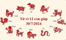 Tử vi 12 con giáp hôm nay 30/7/2024: Dậu quyết đoán, Sửu hòa đồng