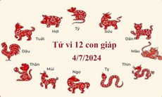 Tử vi 12 con giáp hôm nay 4/7/2024: Tý áp lực, Ngọ thuận lợi