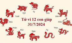 Tử vi 12 con giáp hôm nay 31/7/2024: Dần linh hoạt, Thìn nổi bật