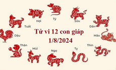 Tử vi 12 con giáp hôm nay 1/8/2024: Dần thăng trầm, Tự tài lộc tích cực