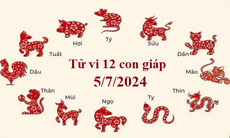 Tử vi 12 con giáp hôm nay 5/7/2024: Mão tình cảm thăng hoa, Mùi tài chính mở rộng