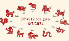 Tử vi 12 con giáp hôm nay 6/7/2024: Mùi thuận lợi, Thân may mắn