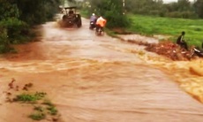 Chủ tịch Hội nông dân xã ở Đắk Lắk bị nước cuốn trôi và tử vong