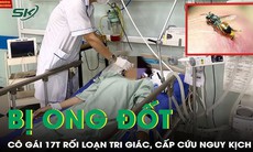 Cô gái 17 tuổi rối loạn tri giác, nguy kịch vì bị ong bắp cày đốt