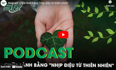 PODCAST: Chữa lành bằng 'nhịp điệu từ thiên nhiên'