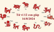 Tử vi 12 con giáp hôm nay 16/8/2024: Tý tích cực, Sửu tươi sáng