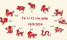 Tử vi 12 con giáp hôm nay 18/8/2024: Thìn xuống dốc, Mùi tiến triển thuận lợi