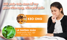 Giải pháp từ lá Thường xuân kết hợp Keo ong hỗ trợ giảm viêm họng, viêm phế quản