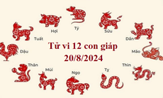 Tử vi 12 con giáp hôm nay 20/8/2024: Sửu làm ăn khấm khá, Tý tiến triển thuận lợi