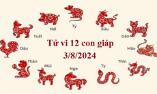 Tử vi 12 con giáp hôm nay 3/8/2024: Dậu công việc rắc rối, Tỵ may mắn tài lộc