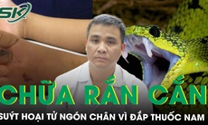 Đắp thuốc nam chữa rắn cắn, nam sinh suýt hoại tử ngón chân, chuyên gia chia sẻ cách sơ cứu đúng