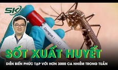 Cảnh báo sốt xuất huyết diễn biến phức tạp với hơn 3000 ca nhiễm trong tuần