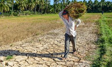 Bộ trưởng Lê Minh Hoan nêu loạt giải pháp để thích ứng với hạn hán, sạt lở, xâm nhập mặn tại ĐBSCL