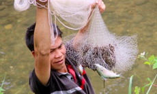 Dân bản chung tay bảo tồn cá hiếm giữa đại ngàn Pù Huống