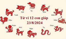 Tử vi 12 con giáp hôm nay 23/8/2024: Ngọ may mắn, Tuất có tin vui