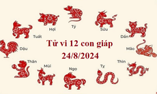 Tử vi 12 con giáp hôm nay 24/8/2024: Dậu công việc ổn định, Thân may mắn tài chính