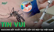 Vaccine sốt xuất huyết sắp có mặt tại Việt Nam