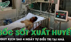 Người đàn ông nguy kịch sốc sốt xuất huyết nặng sau 4 ngày tự điều trị tại nhà