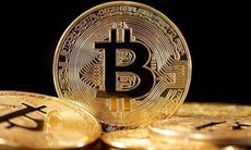 Bitcoin tăng giá, số lượng triệu phú tiền số tăng tới 95%