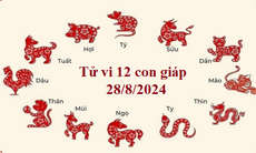 Tử vi 12 con giáp hôm nay 28/8/2024: Tuất bận rộn, Dậu công việc triển vọng