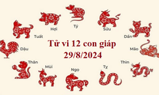 Tử vi 12 con giáp hôm nay 29/8/2024: Sửu gặp may mắn, Mão nhiều cơ hội