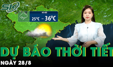 Bản tin dự báo thời tiết mới nhất hôm nay ngày 28/8 