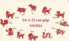 Tử vi 12 con giáp hôm nay 5/8/2024: Tý, Thìn, Thân, Tuất 'vận đỏ như son'