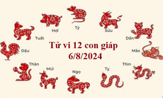 Tử vi 12 con giáp hôm nay 6/8/2024: Mão ổn định, Dậu may mắn tài lộc