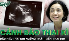 Những dấu hiệu cảnh báo thai nhi ngừng phát triển ở giai đoạn đầu thai kỳ