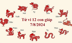 Tử vi 12 con giáp hôm nay 7/8/2024: Tỵ, Ngọ hanh thông, thuận lợi
