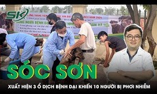 Xuất hiện 3 ổ dịch bệnh dại ở Sóc Sơn khiến 10 người bị phơi nhiễm