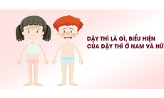 Giúp trẻ tuổi dậy thì phát triển tính dục đúng hướng