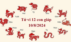 Tử vi 12 con giáp hôm nay 10/8/2024: Mùi đón vận may tài lộc, Ngọ tình cảm thăng hoa