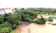 Hưng Yên phát lệnh báo động I trên tuyến đê tả sông Luộc, sông Hồng