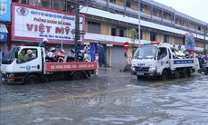 Sẵn sàng lực lượng, chủ động triển khai các phương án hộ đê