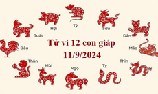 Tử vi 12 con giáp hôm nay 11/9/2024: Tý khó khăn, Ngọ thuận lợi