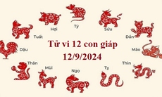 Tử vi 12 con giáp hôm nay 12/9/2024: Sửu tích cực, Dần biến động