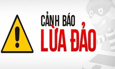 Cảnh báo giả mạo Hội Chữ thập đỏ nhận tiền ủng hộ đồng bào bị thiệt hại bởi bão số 3