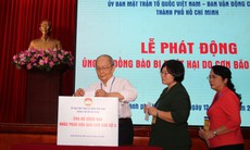 TPHCM giảm quy mô, tạm hoãn các lễ hội, sự kiện