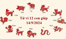 Tử vi 12 con giáp hôm nay 14/9/2024: Tỵ tích cực, Hợi may mắn
