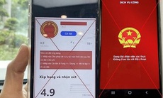 Cài đặt app giả mạo Bộ Công an, người phụ nữ bị mất 500 triệu đồng