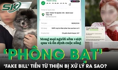 Việc ‘phông bạt’, gian dối trong sao kê chuyển tiền từ thiện có thể bị xử lý hình sự