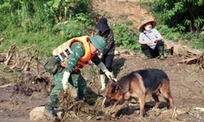 ‘Vũ khí đặc biệt’ tham gia tìm kiếm cứu nạn tại Làng Nủ