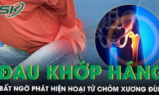 Đau khớp háng dữ dội đi khám bất ngờ phát hiện hoại tử chỏm xương đùi 