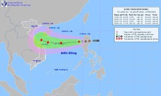 Thủ tướng yêu cầu chủ động ứng phó với áp thấp nhiệt đới có khả năng mạnh lên thành bão