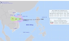 Thủ tướng chỉ đạo ứng phó áp thấp nhiệt đới có khả năng mạnh lên thành bão