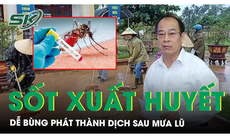 Cảnh báo dễ bùng dịch sốt xuất huyết sau mưa lũ và cách phòng tránh